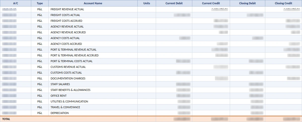 Profit and loss Excel output with revenue and expense accounts